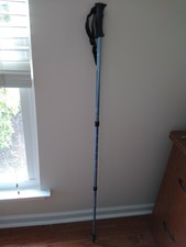 swissgear walking stick
