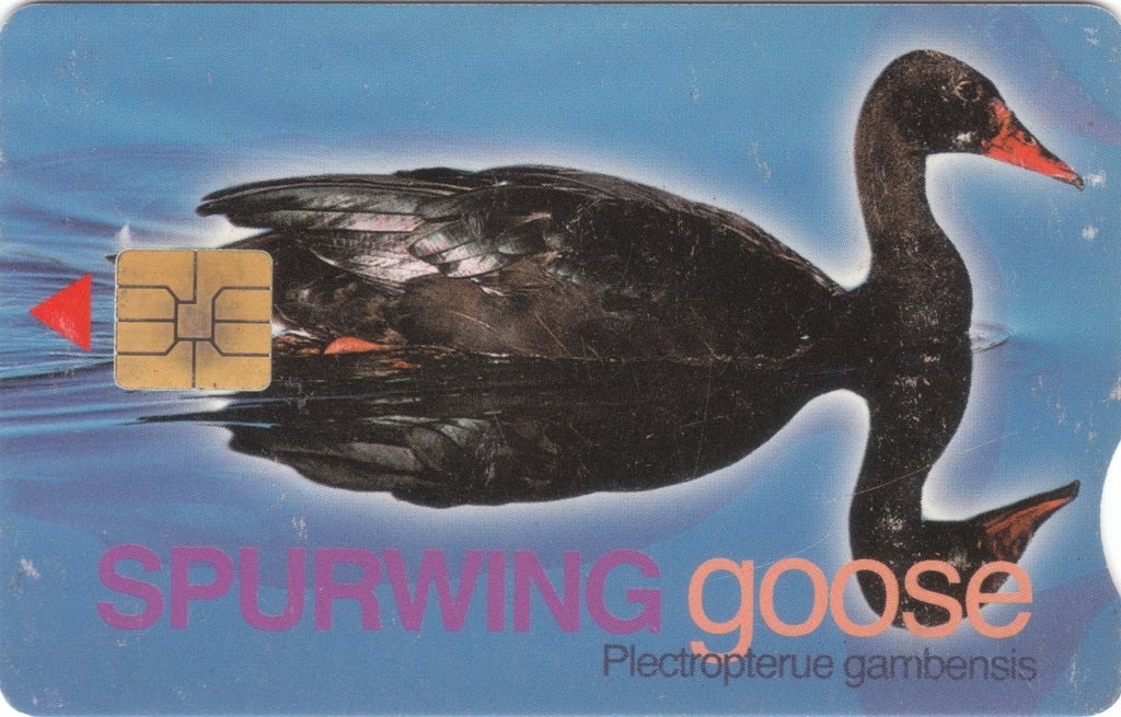 Bild 65 von 102
