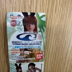 Dead or Alive Bandai Figure Tokonatsu no Zack Island Comp