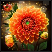 Counted Cross Stitch Kits Needlework Crafts Embroidery - Marigold