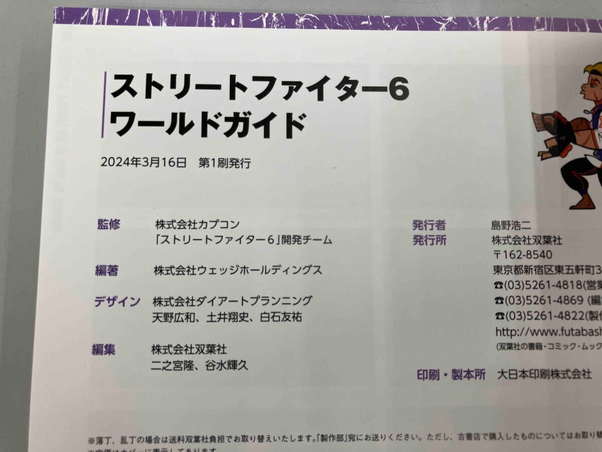 Street Fighter 6 World Guide Japanese Video Game Character
