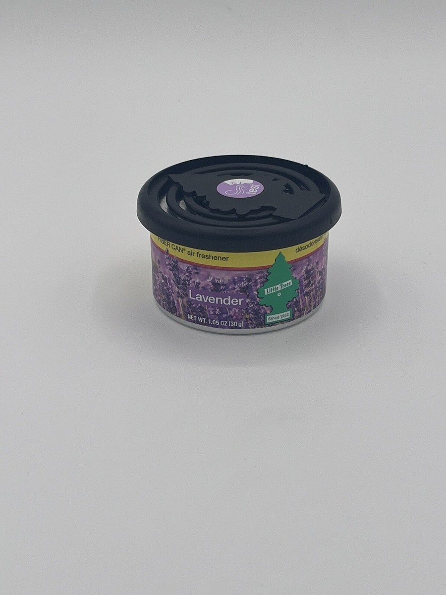 lavender plant french Phenomenal French Lavender  Plant Detectives