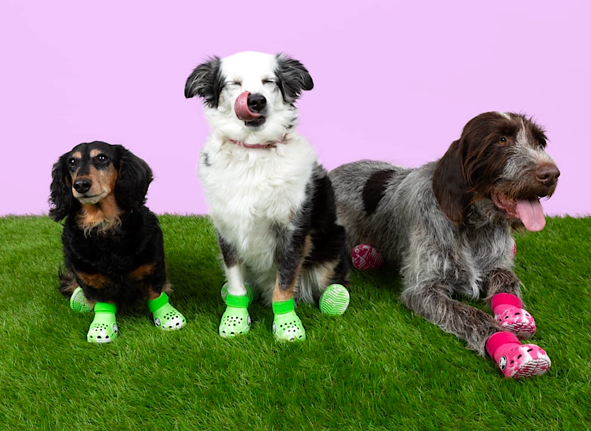 🟢 Crocs Pet Dog Boots - Green Slime/Dragon Fruit - Size S-L NEW