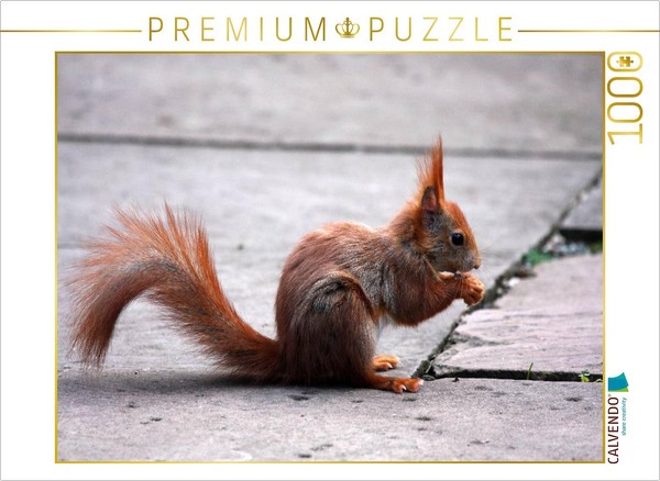 Calvendo Puzzle EichhöRnchen | 1000 Teile Lege-GrößE 64X48Cm Foto-Puzzle FüR Glü-image