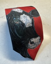 Vintage 1980 Ralph Marlin 100% Polyester Men’s Neck Tie Made In USA