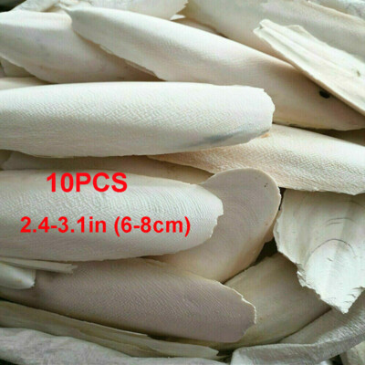 10/20Pcs 2.4-3.1'' Cuttlebone Cuttlefish Bone Sepia Cuttle Fish Bird Food Calcium
