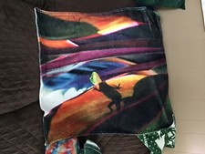 Fuzzy Frog Blanket 35  X 39  . c 