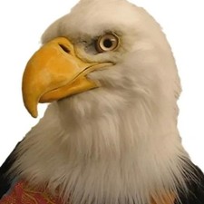 Máscara de águila súper realista Máscara de hombre lobo Máscara con capucha Halloween Juegos con disfraces Fiesta Disfraz