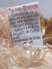Foto 11 di 11