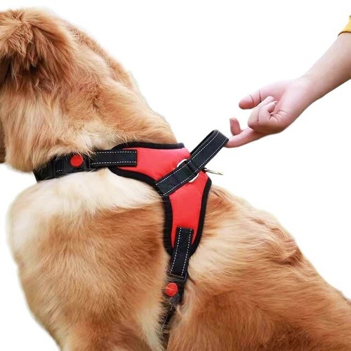 Dog Basic Halter harness Reflective Adjustable +FREE GIFT - Picture 2 of 5