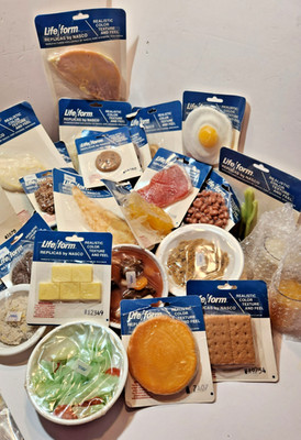 Nasco Life Form Realistic Food Replicas Nutrition Movie Props Still Life Display