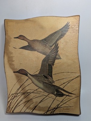 Vintage Wm Zimmerman Pintail Ducks In Flight Art Print Rustic Wood Plaque Sign