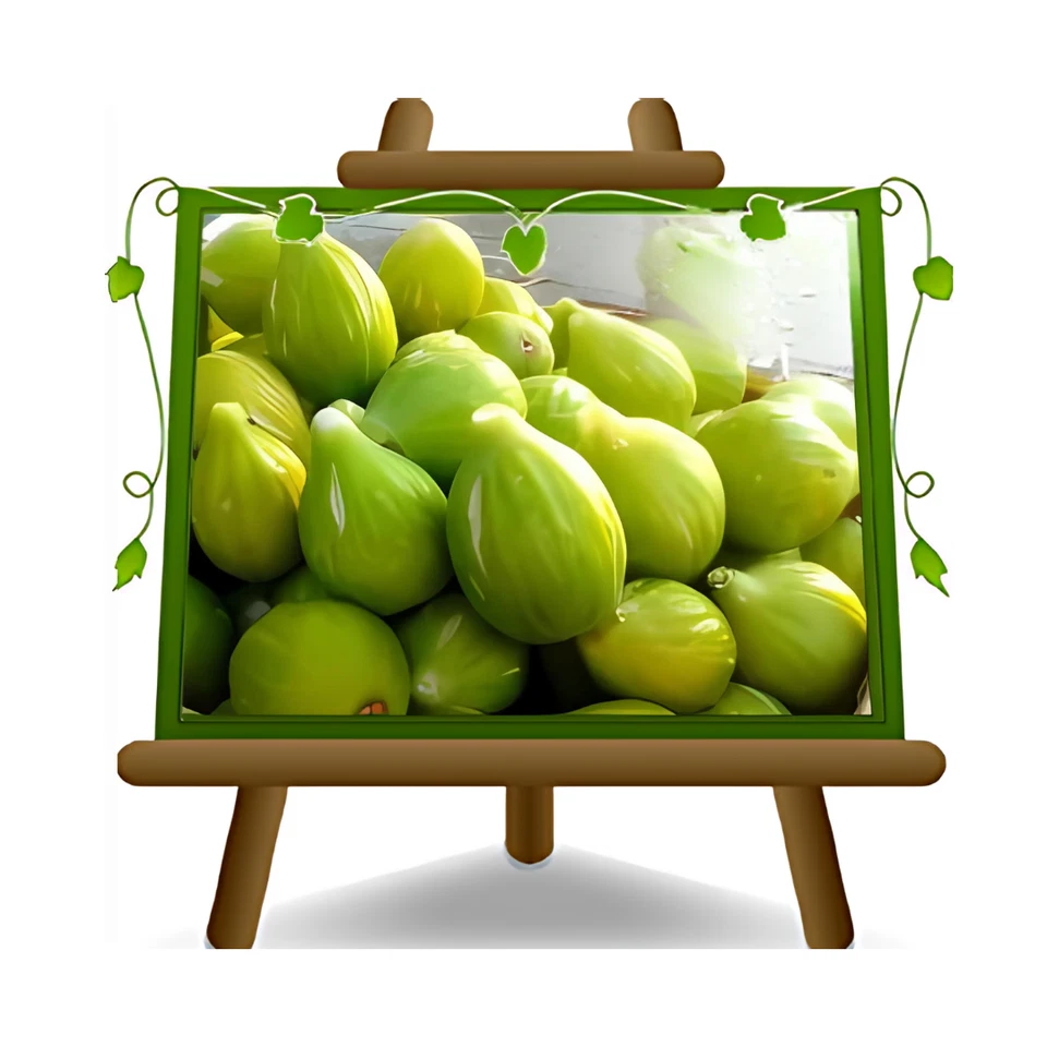 EURO PLANTS VIVAI Fico San Giovanni Frutto Antico Altezza: 170-200 cm Eta: 4 anni Vaso: 26 cm