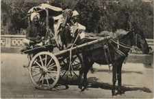 PC AN EKKA CART INDIA (a20513)