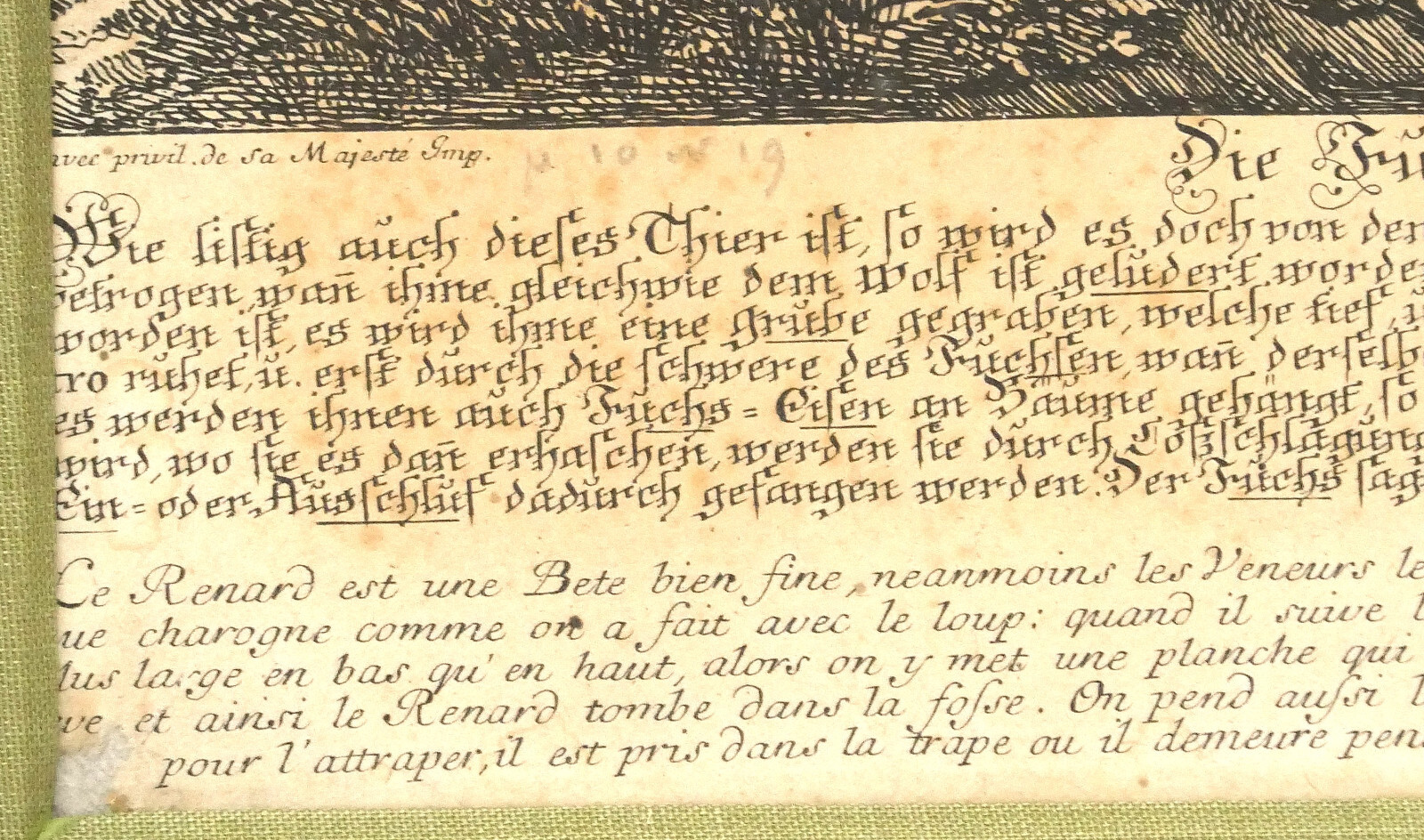 Bild 18 von 24