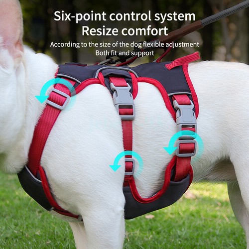 No-Pull Dog Harness Adjustable Reflective Outdoor Pet Walking Vest with Handle - Picture 6 of 15
