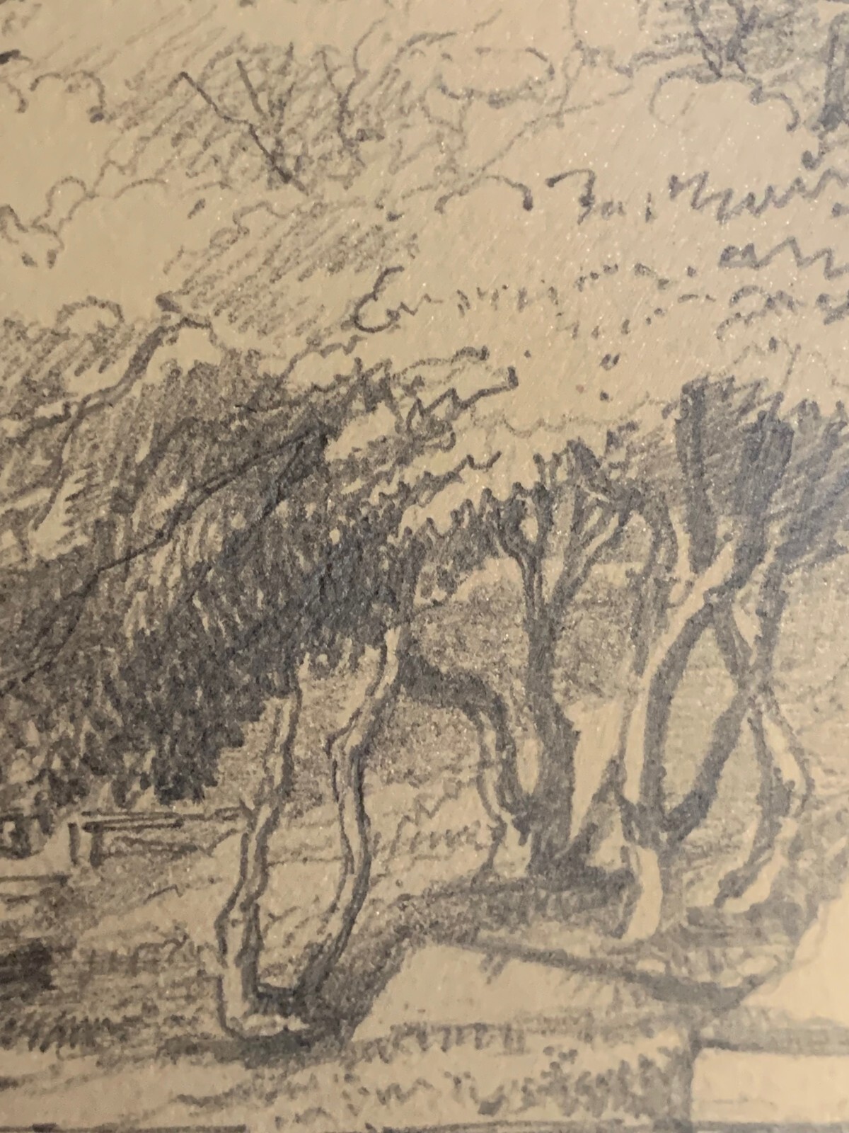 Picture 21 of 23