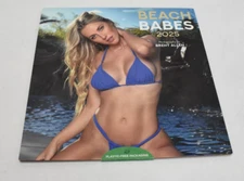 Beach Babes Carousel Calendar Photograph Brent Allen Wall Calendar 2025