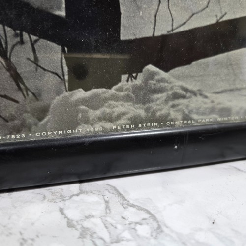 Large Framed Fred Stein Central Park Photo Poster- Bruce Mcgaw Publication 74x69 - Picture 14 of 21