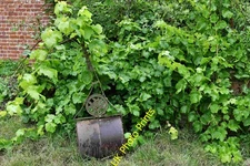 Photo A3 Raveningham Sculpture Trail 2020: Unspecified work 3 Brundish/ c2020