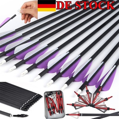 12x Carbon Pfeile SP350 AMO 31.2'' & Jagd Spitzen für Outdoor Jagd Ziel Schießen
