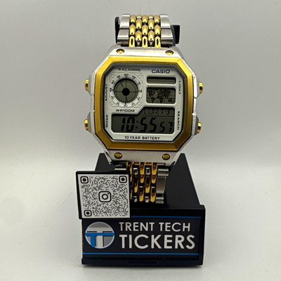 Casio AE1200 Full Stainless Watch Mod Custom Two-Tone Silver and Gold