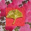 giftygingkoshop