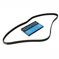 Dayco Keilrippenriemen FüR BMW R 850 R 1100 R 1150 R 1200