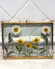 Handmade Pressed Flowers in 4"x6" Suncatcher