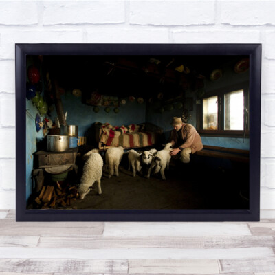 Lamm Schaf Mann Dokumentarfilm im Haus Tier Hut Wandkunstdruck