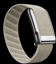 Whoop MG/5.0 Khaki/Dune Luxe Band - Shiny Silver Clasp/hook/link - One/peak/life