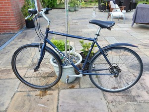 marin frame