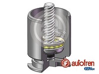 Autofren Seinsa D02554RK Kolben, Bremssattel Hinterachse FÜR Alfa Romeo Audi Ch