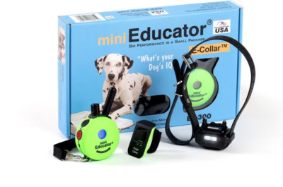 E-Collar Technologies ET-300 Mini Educator Remote Dog Trainer in LIME GREEN!