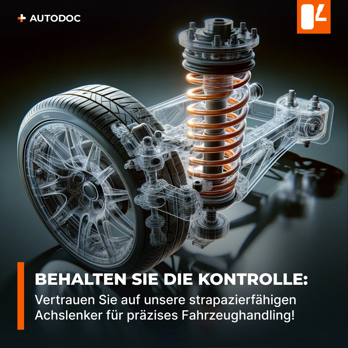 Bild 5 von 8