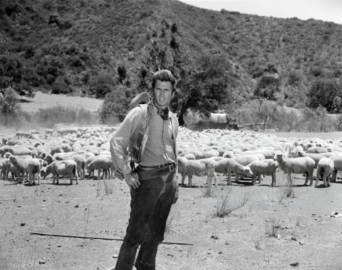 10 x Rawhide Unsigned 10" x 8" photos - Clint Eastwood - Donation to Charity #3 - Imagen 5 de 10