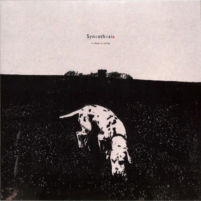 Ronan Courty / SYNESTHESIA (LP) / Ormo Records / ORMOLP015 / LP