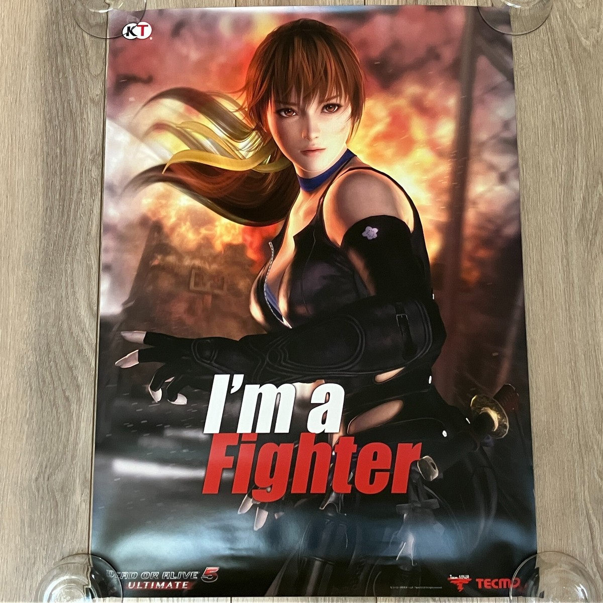 DEAD OR ALIVE 6 B2 ポスターx5 2019 s-l1200.jpg