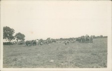 WW1 Postcard 5th Lancashire  Artillery Volunteers horses & Limbers Summer 1913
