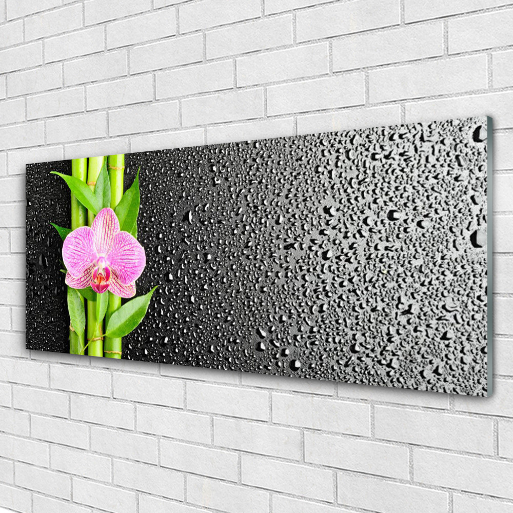 Tableau panoramique Tulup sous verre 125x50 pour habiller un mur vide