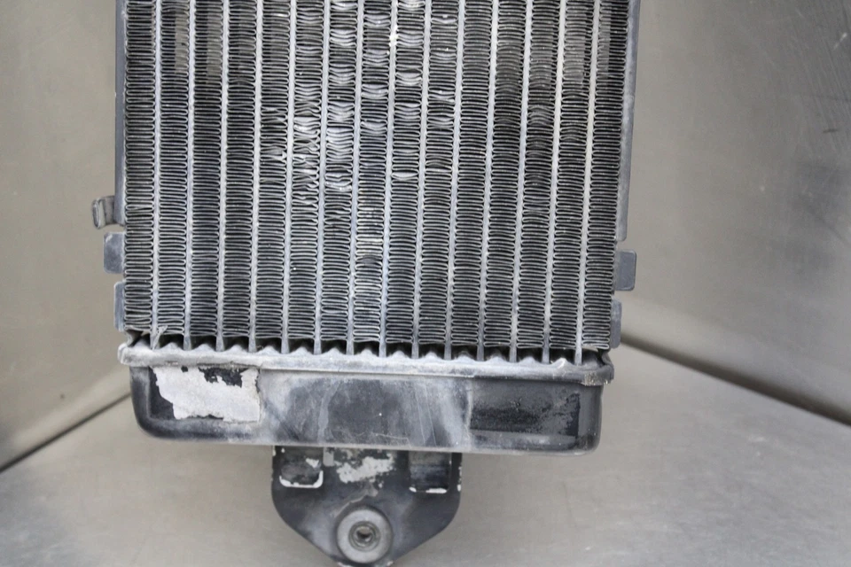 97-07 HONDA SHADOW 1100 VT1100C ENGINE RADIATOR MOTOR COOLER COOLING RADIATER Foto 3 de 4