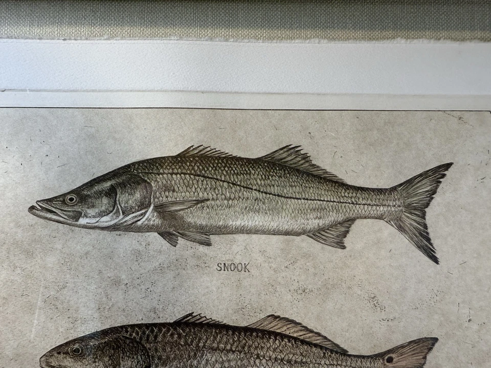 Mike Stidham Firmado Edición Limitada "Back Country Game Fish" 49/100 Trabajo Temprano Foto 4 de 4