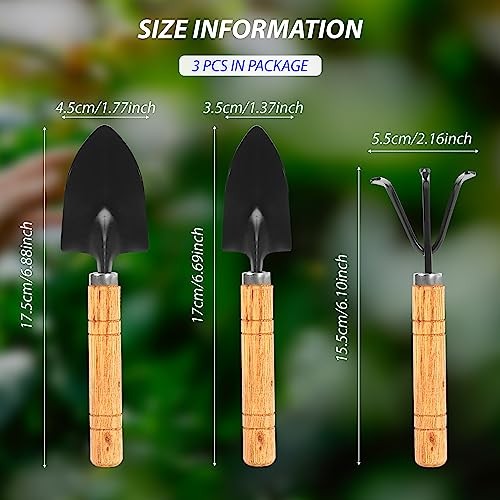 Gardening Tool Set:3 Small Garden Tool, Garden Spade Hand Shovel,Shovel,