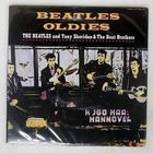 BEATLES OLDIES POLYDOR 38MM0109 Japan VINYL 2LP