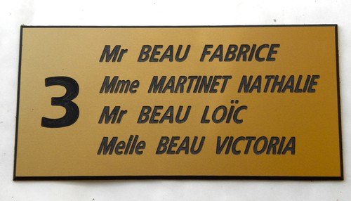 Plaque Gravée Personnalisable Pour Boîte Aux Lettres - 48 X 100 Mm - Biseautée