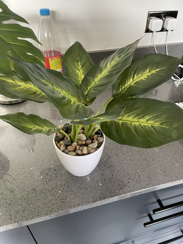 3 x artificial plants From Marks and Spencer and Dunelm eBay
