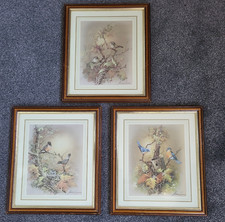 Set Of 3 Andres Orpinas Bird