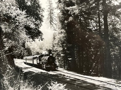 California Western 2-8-2 Eisenbahn Zug California Foto Redwood Wald Bäume