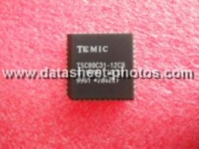 TEMIC TSC80C31-12CB PLCC-44 0 to 44 MHz Single Chip 8 #hj