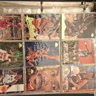 Upper Deck NBA Card Lot 198 Cards Michael Jordan 1996-97 w/ Ultra Pro Pages